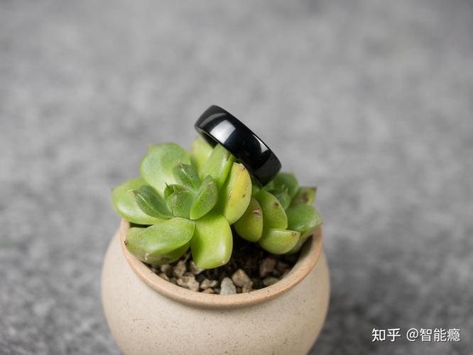 智能戒指 指尖上的未來(lái)，還是美麗的失敗？